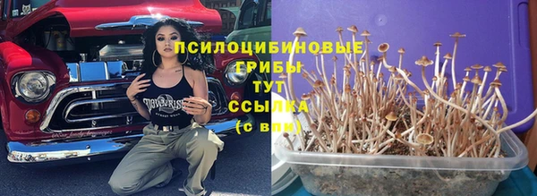 таблы Беломорск