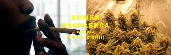 apvp Белокуриха