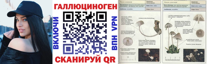 Галлюциногенные грибы мухоморы  Новая Ладога 